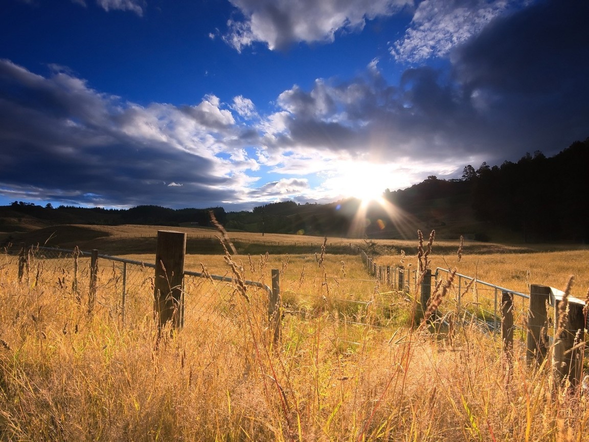 Огороженное поле