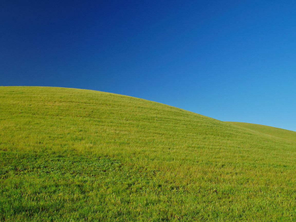 Свежая зелень