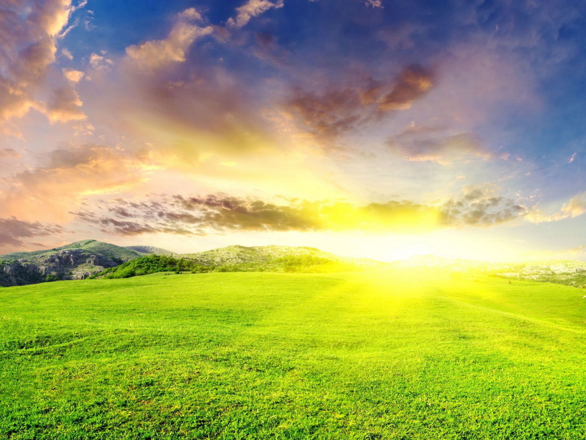 Зеленые луга