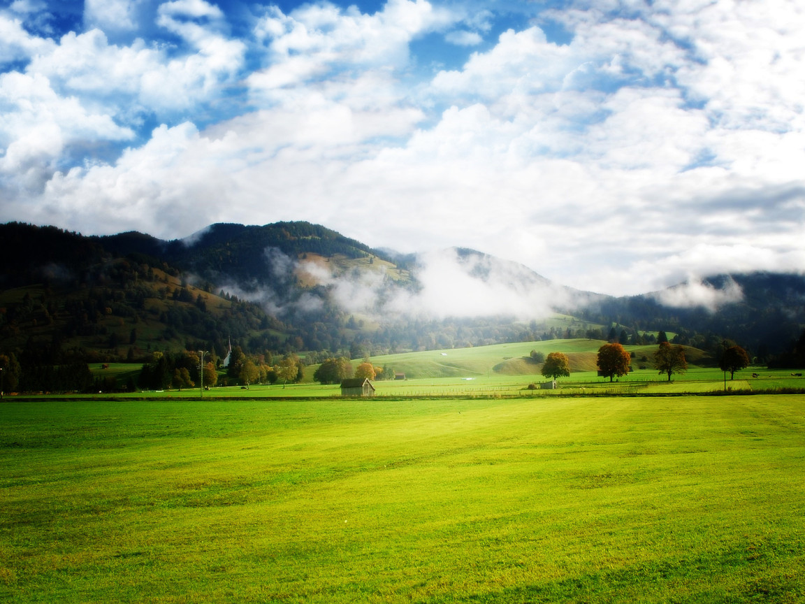 Просторы полей