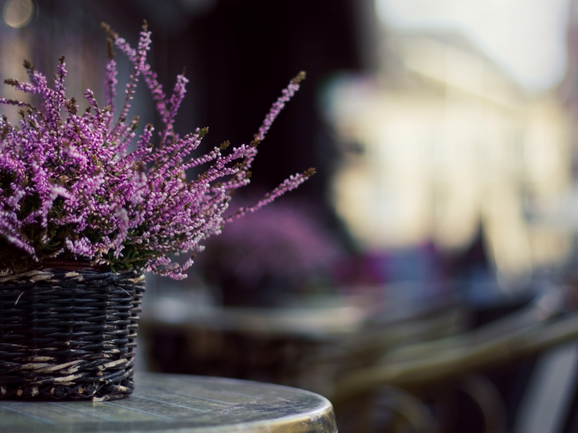 Цветы в корзинке