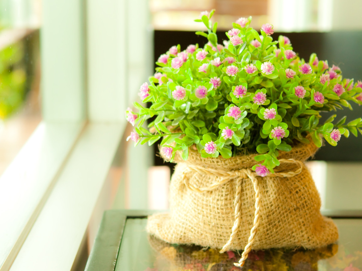 Мелкие цветочки