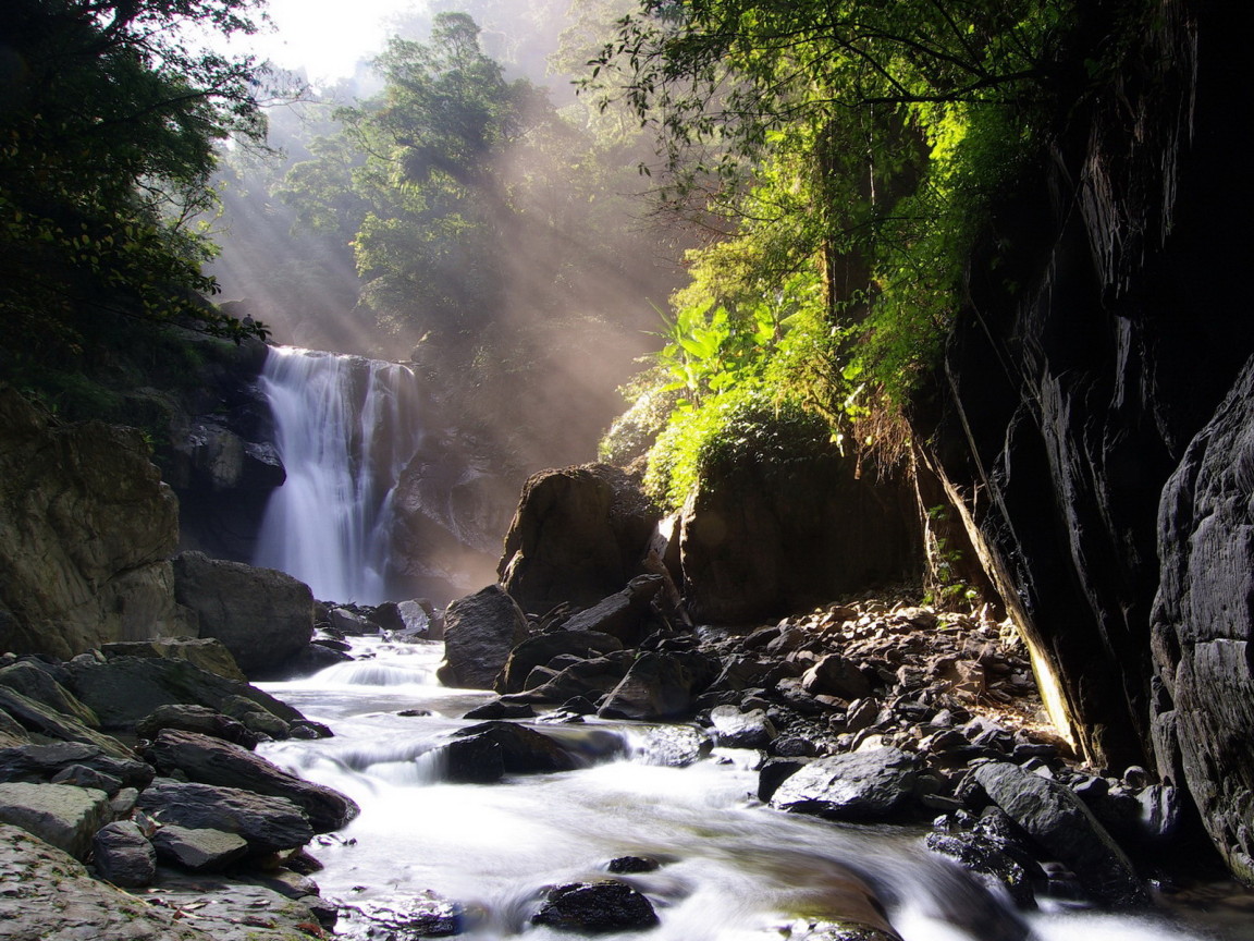 Лесной ручей