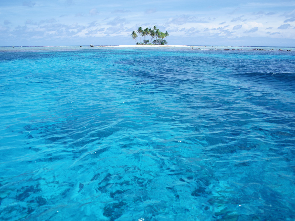 Остров с пальмами