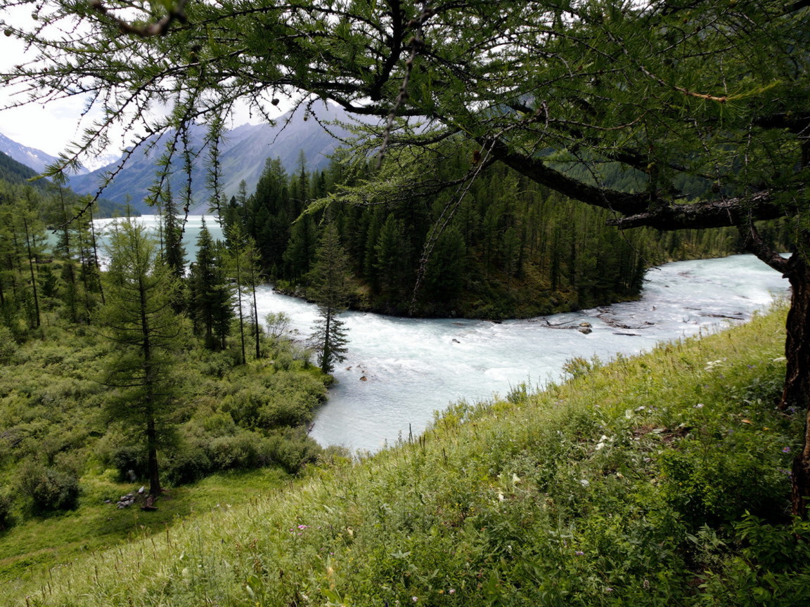 Горная река