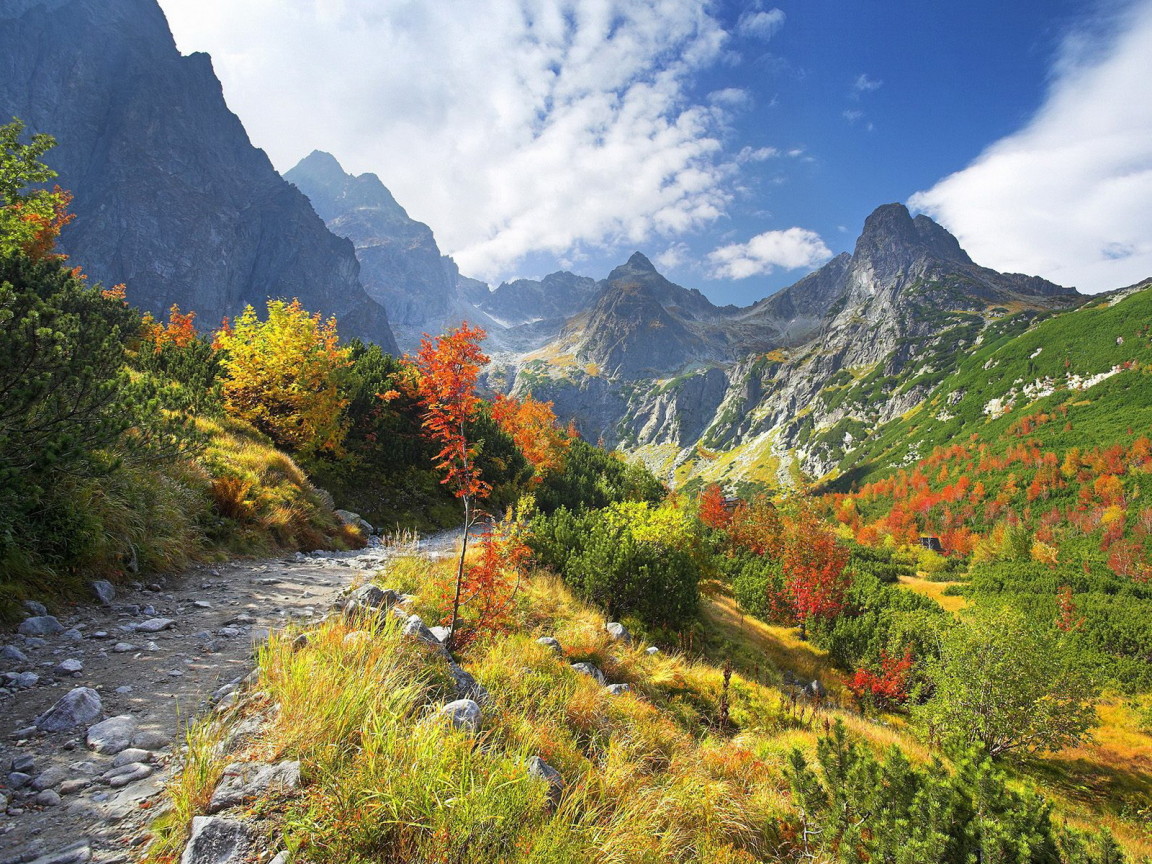 Горная тропа