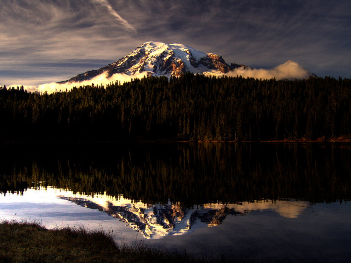 Горы за лесом