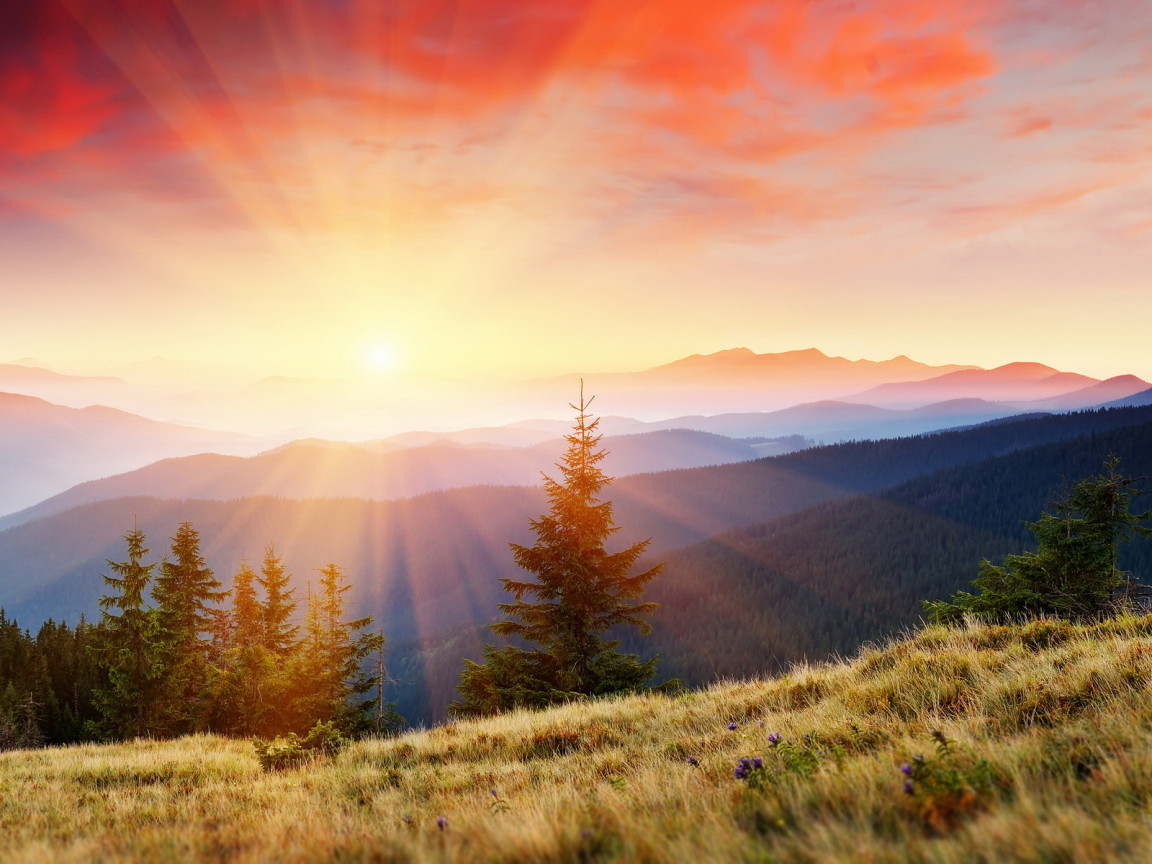 Горы покрытые лесом