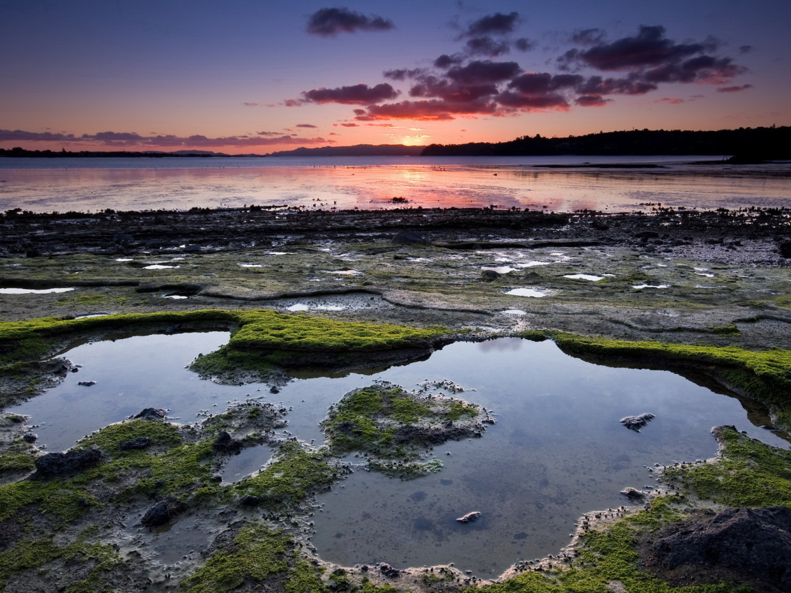 Омелевший берег