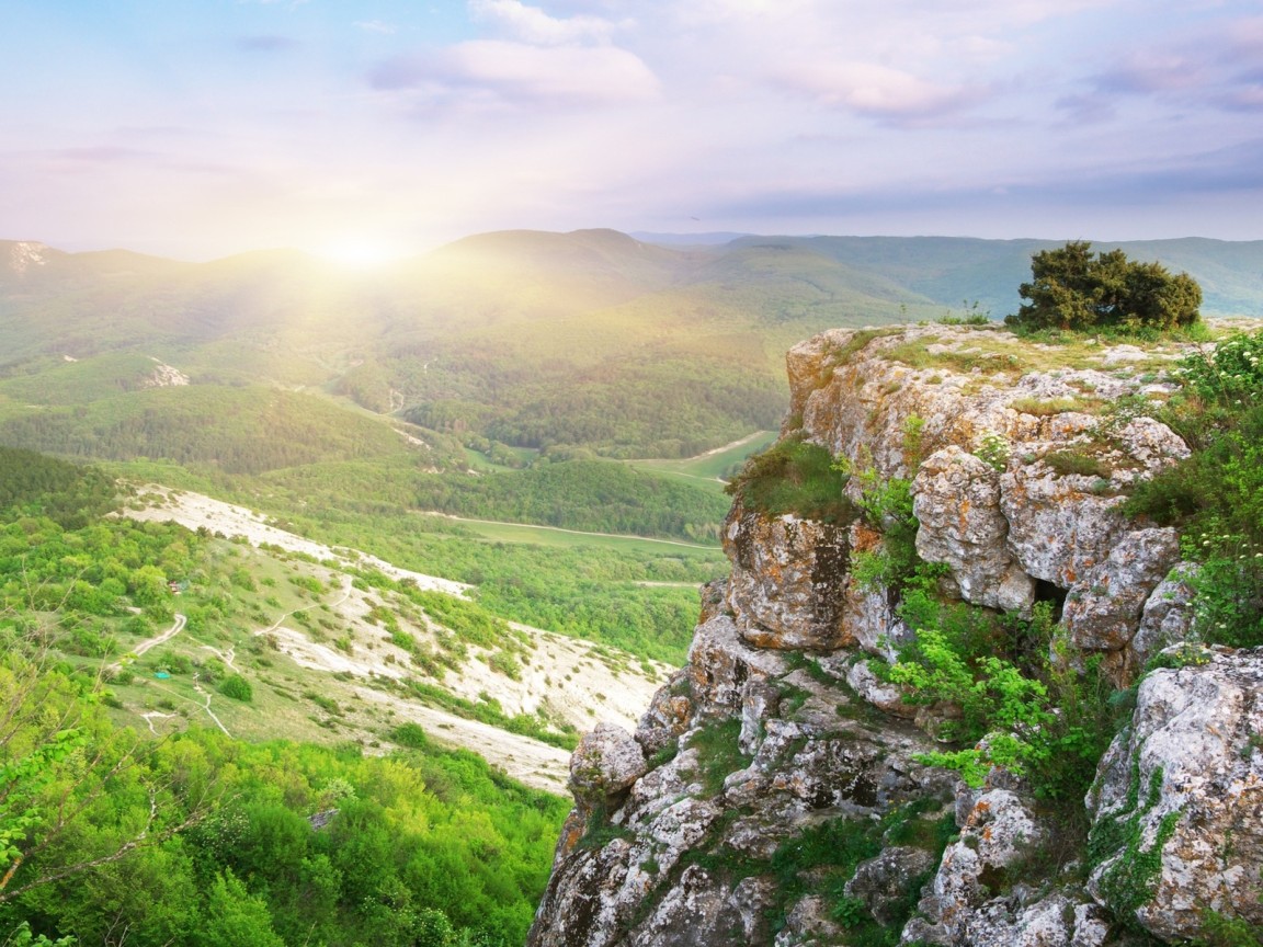 Лесная долина