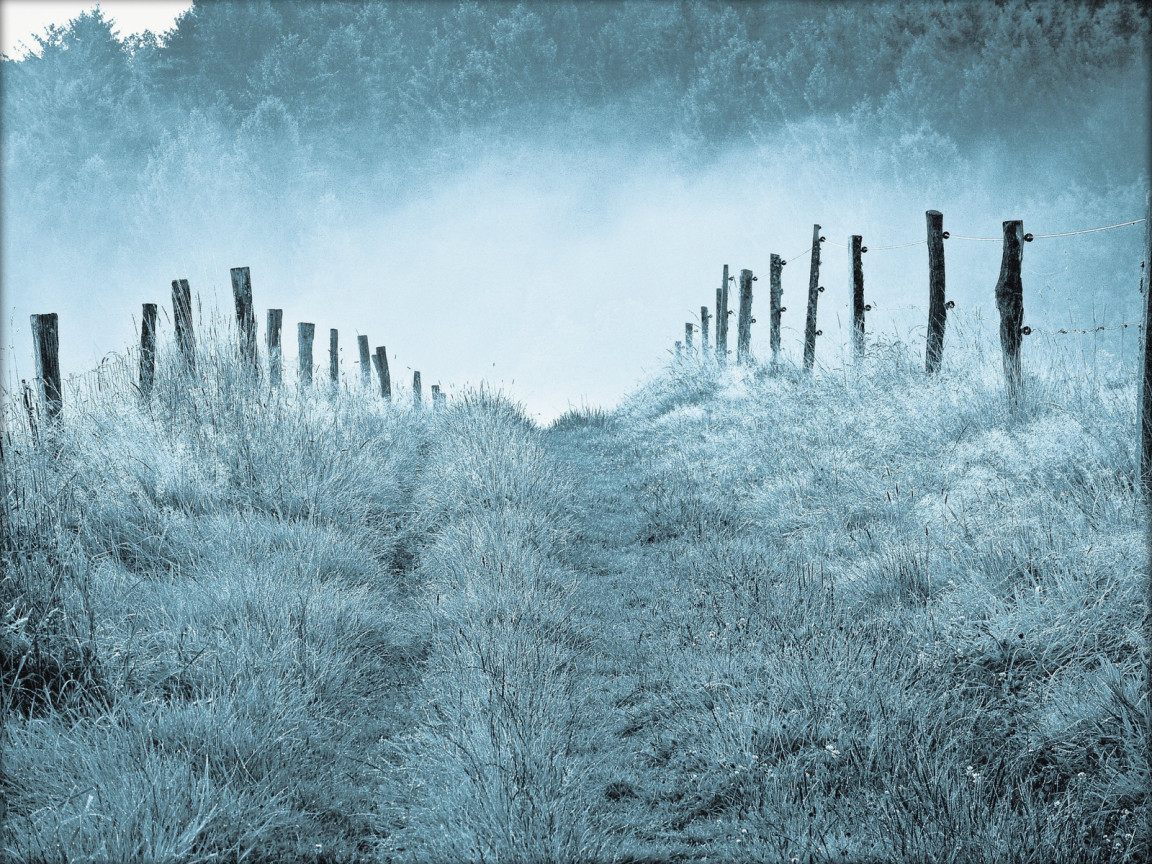 Туманным утром