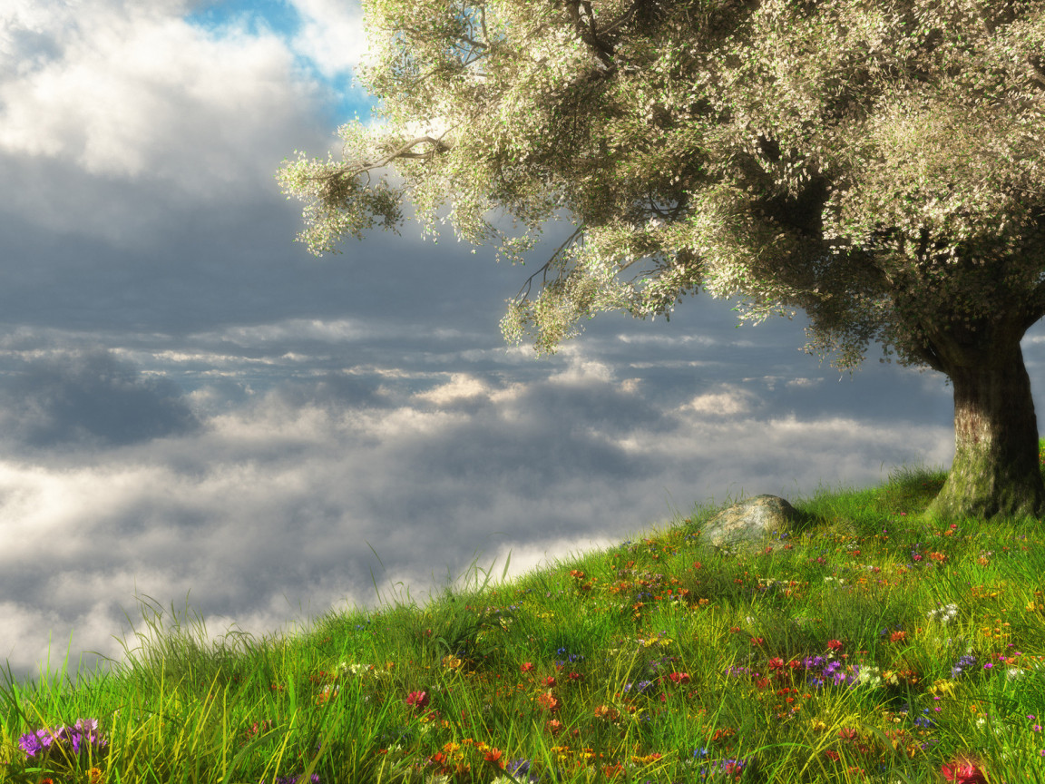 Весеннее цветение