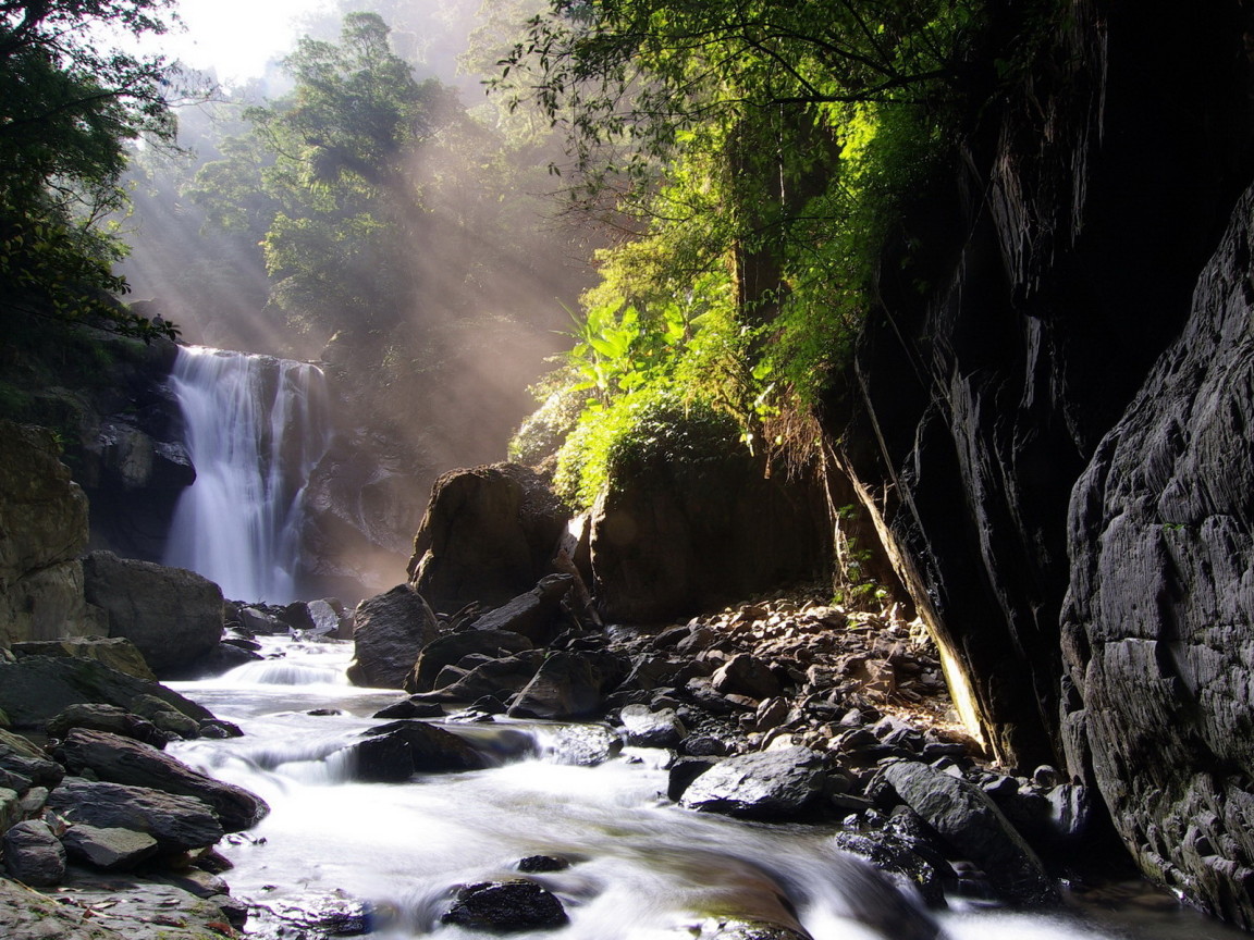 Ручей, лес, камни