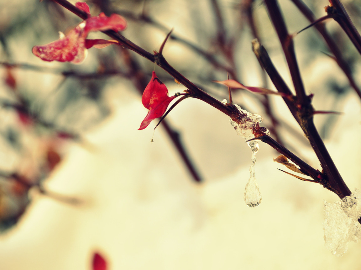 Замерзшая капля