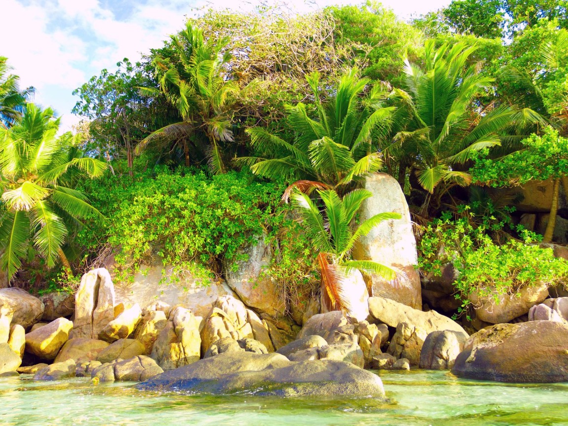 Природа тропиков