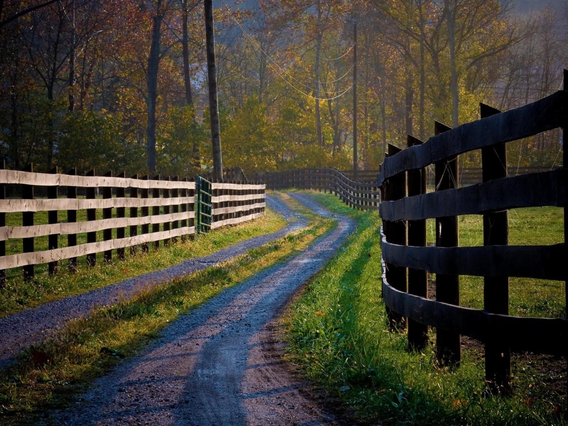 Деревянные заборы