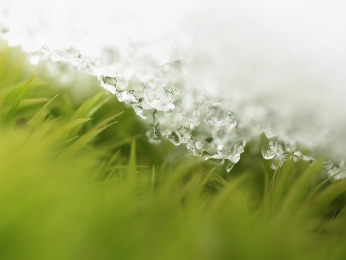 Пришла весна