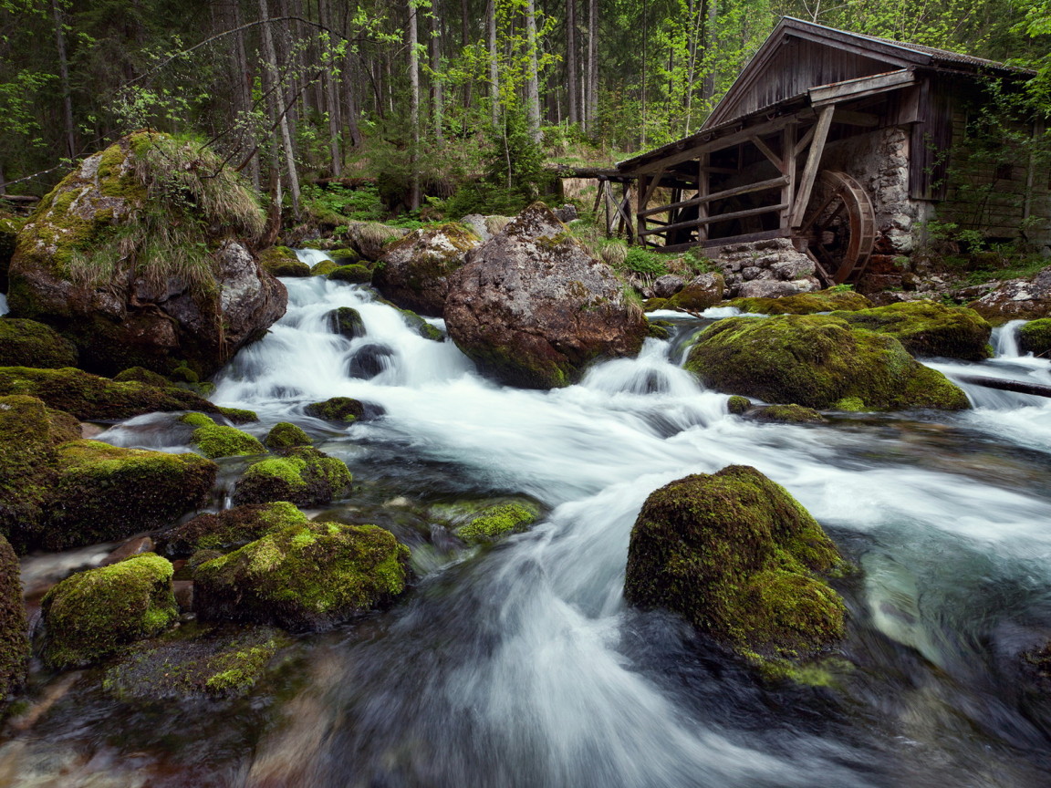 Лесная речка