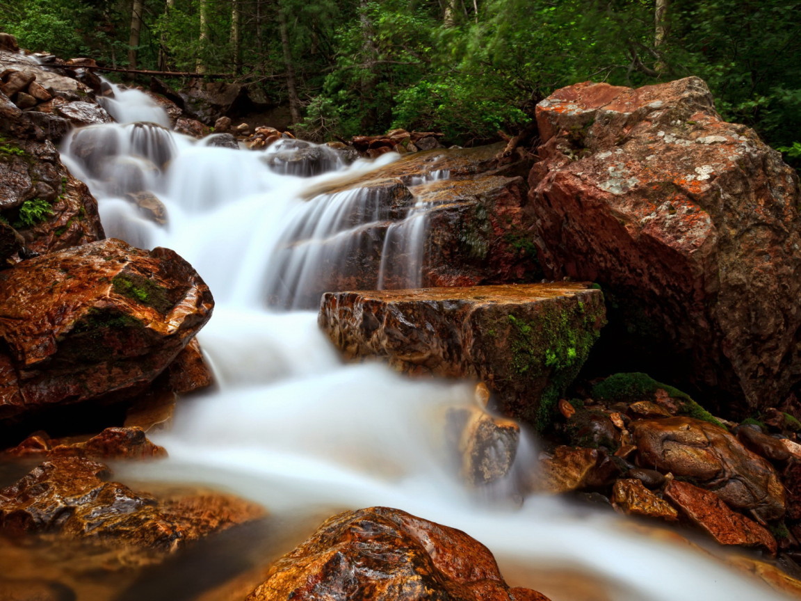 Лесной ручей