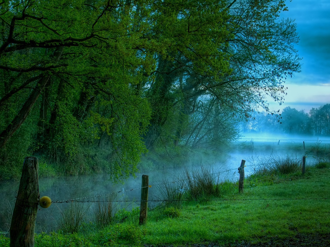 Туманная река