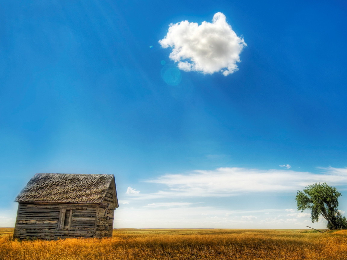 Старый сарай в поле