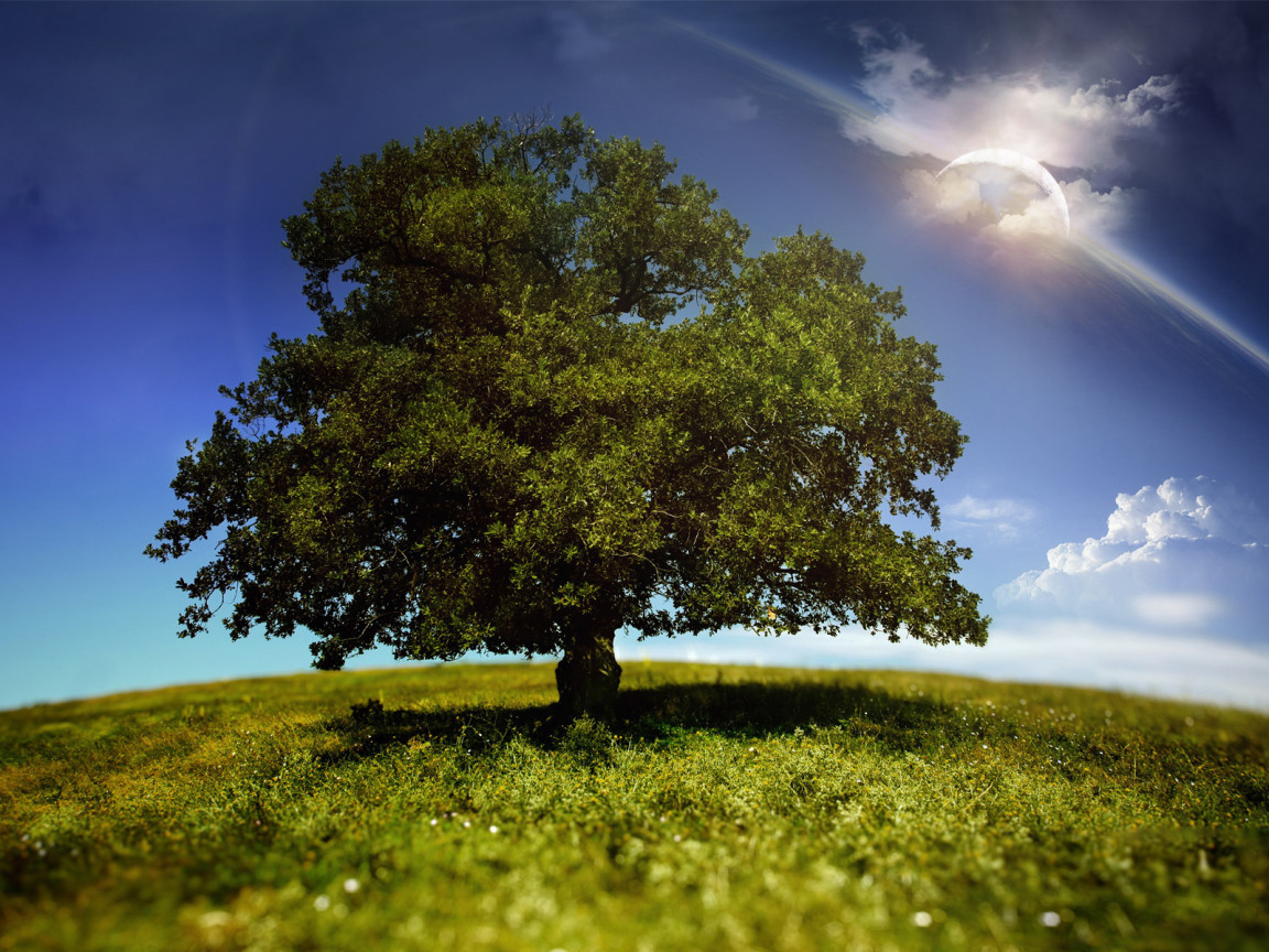 Мир фантазии