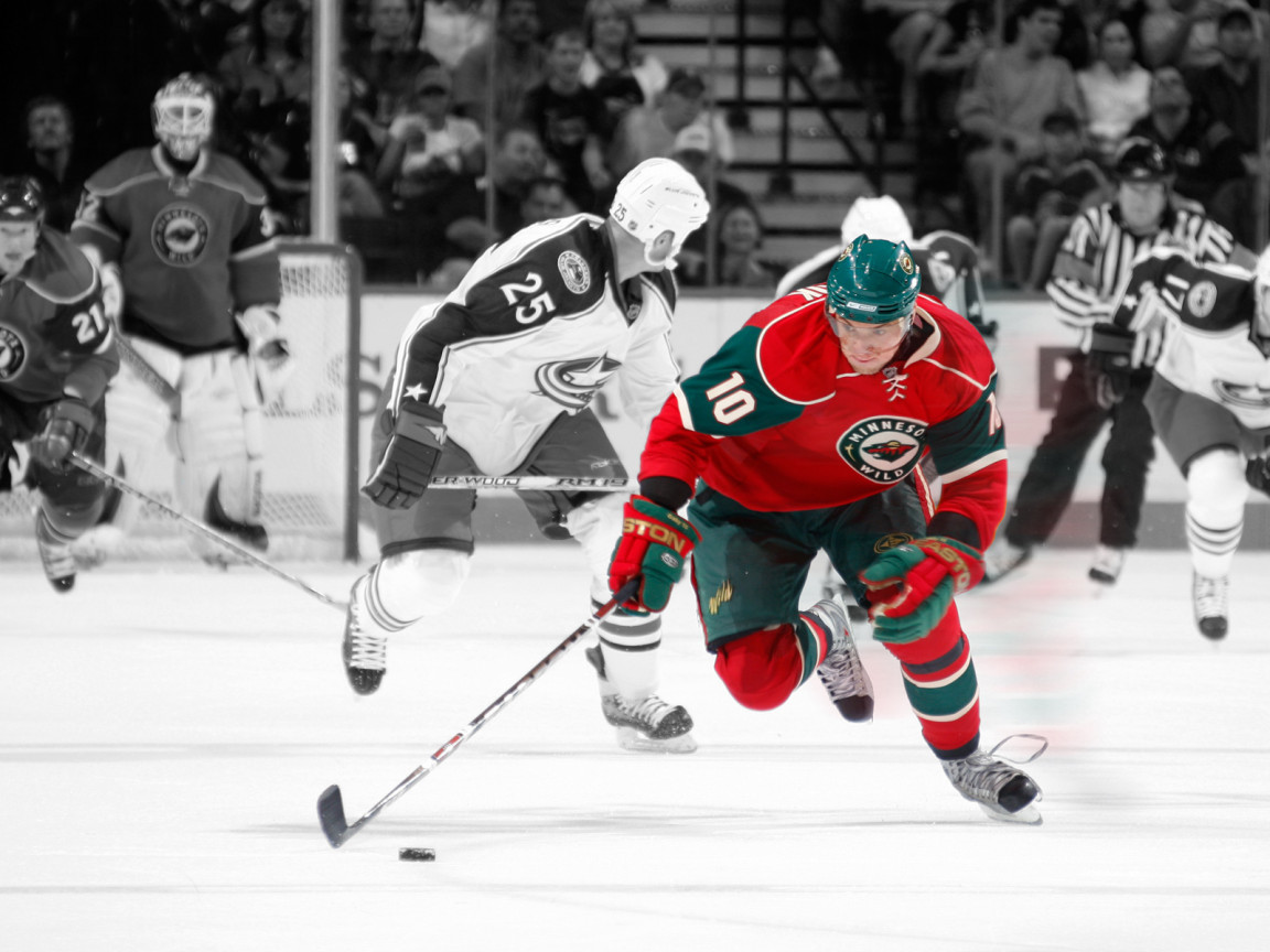 Minnesota Wild, NHL