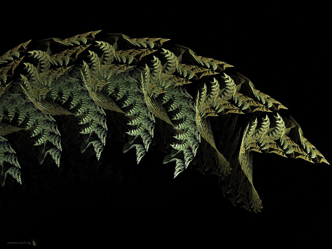 Листья папоротника