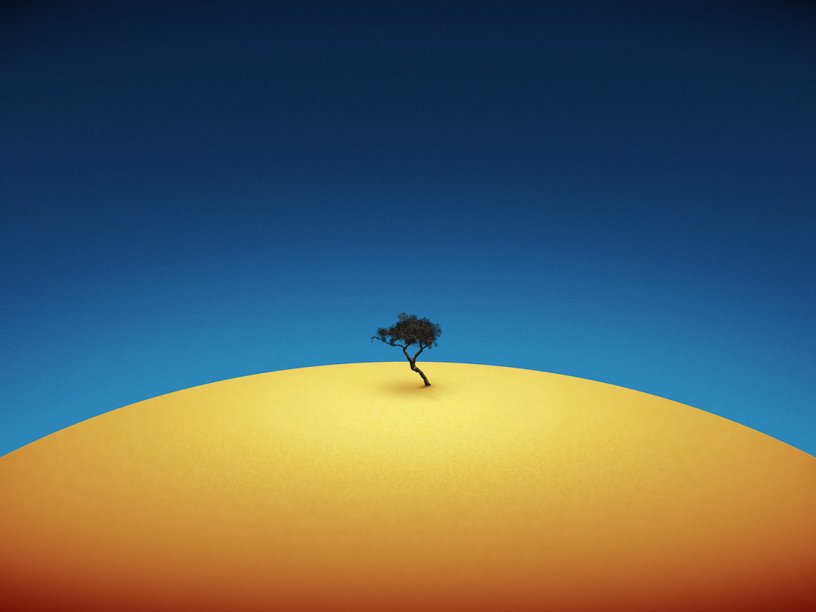 Одинокое дерево