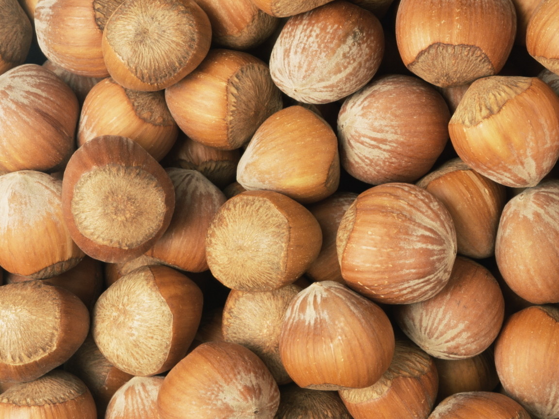 Лесные орехи