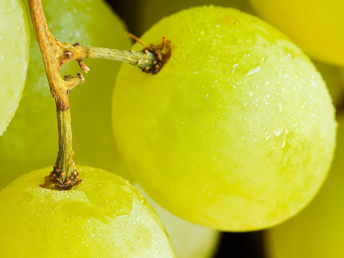 Желтый виноград