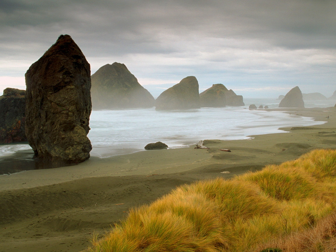 Морское побережье