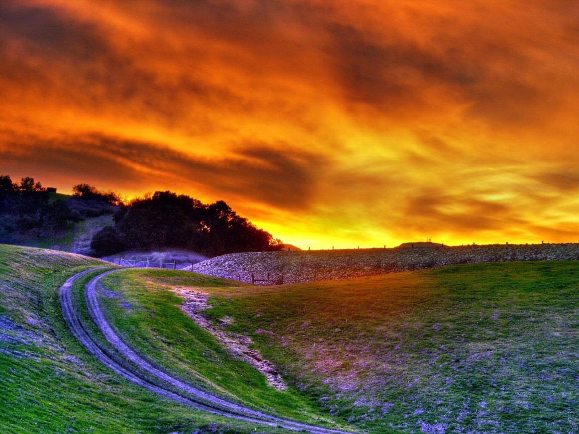 Поле на закате