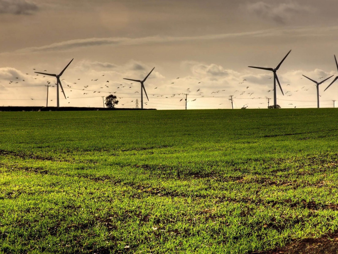 Турбины в полях
