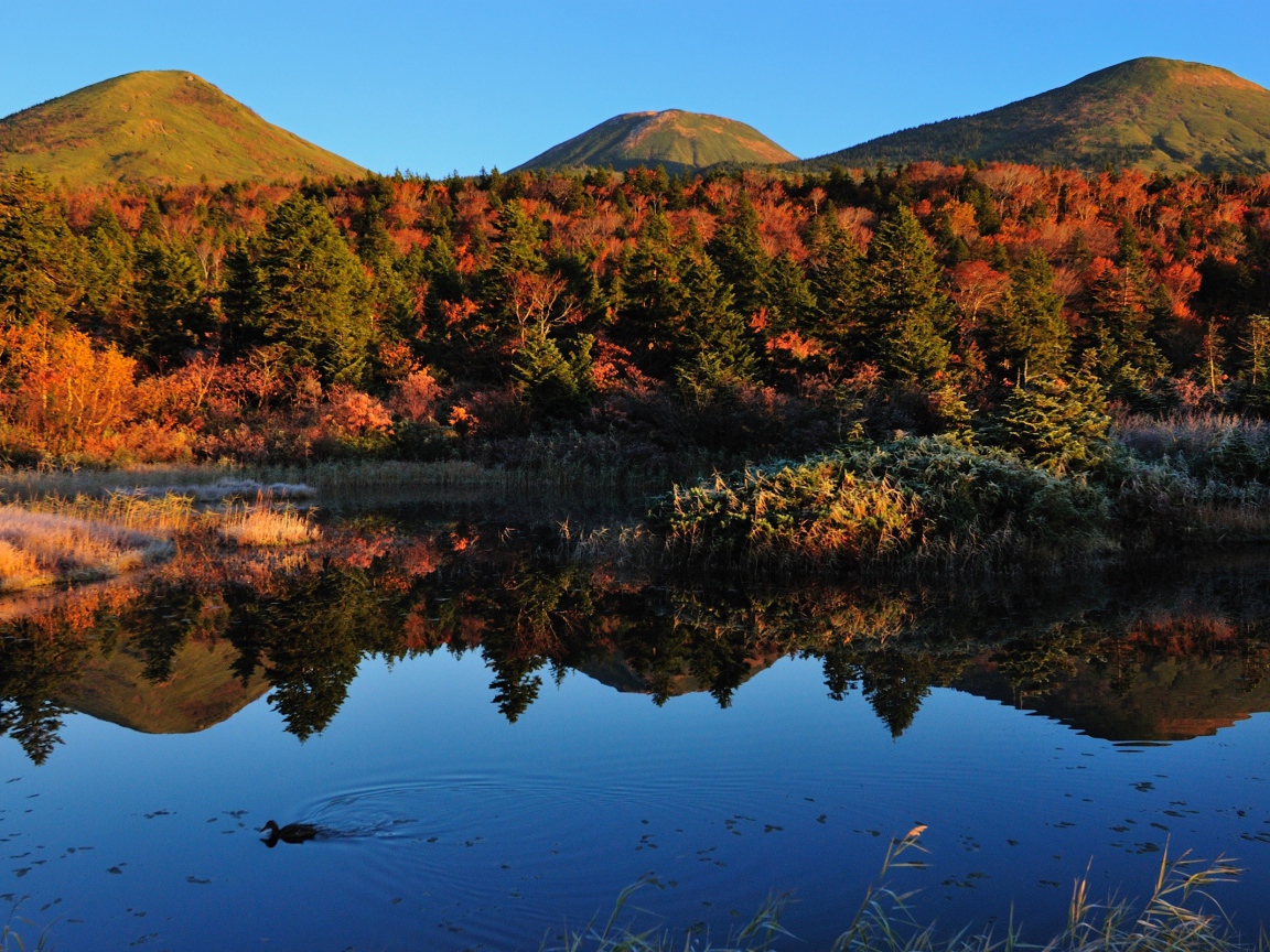 Горы у озера