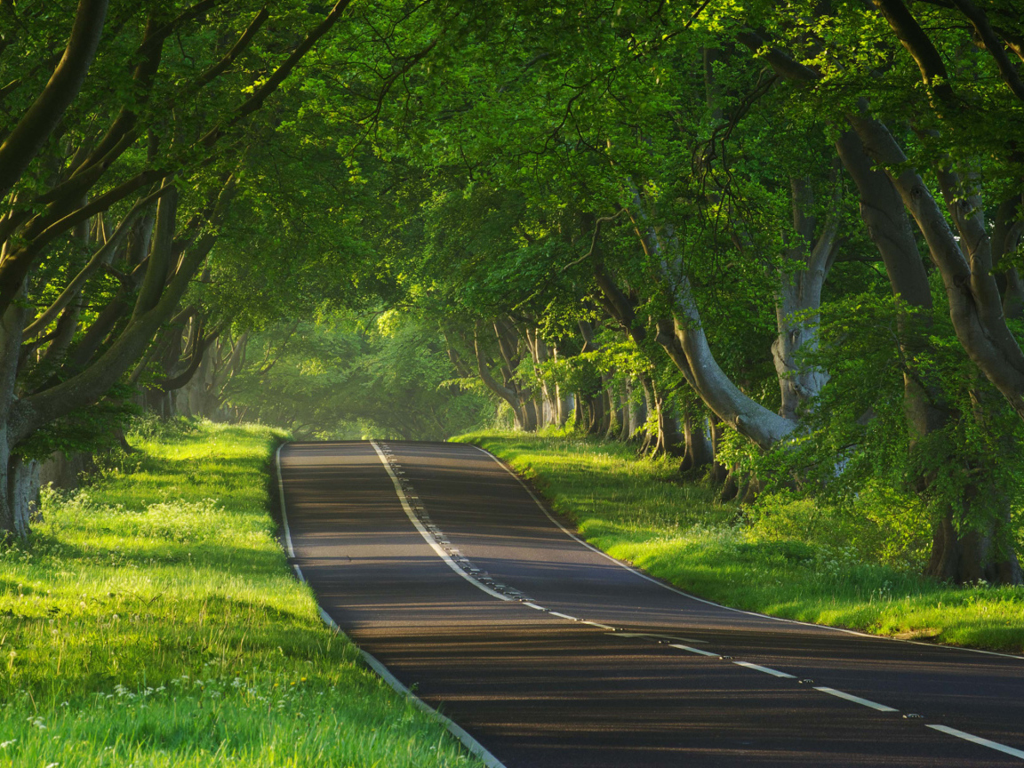 Дорога через тропики