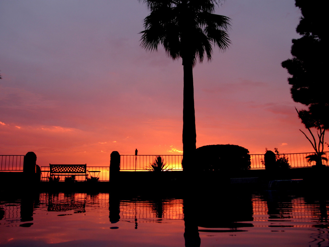 Закат и пальмы