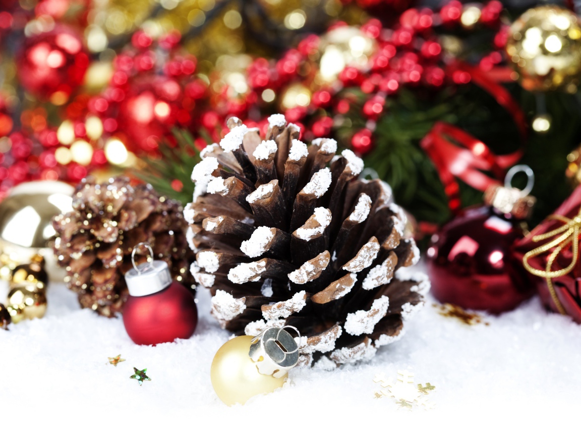 Шишки в снегу