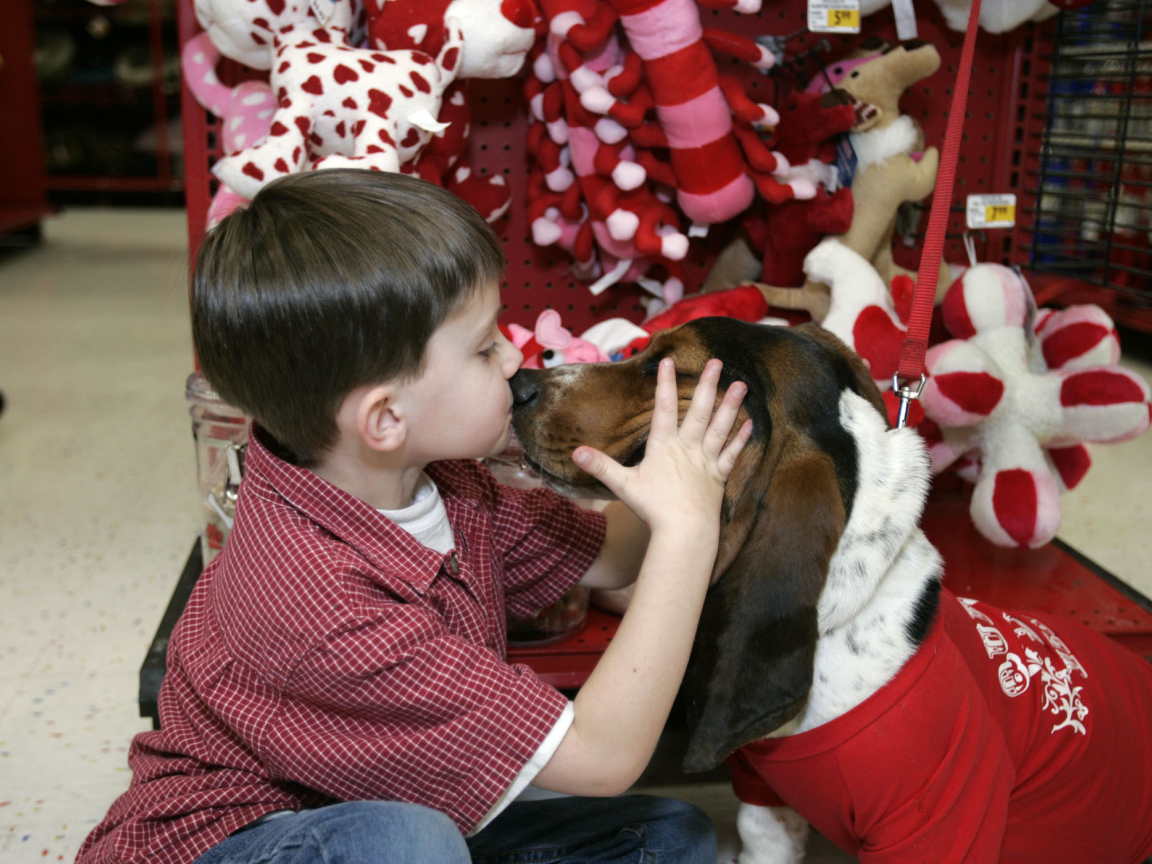 Бассет-хаунд и ребёнок