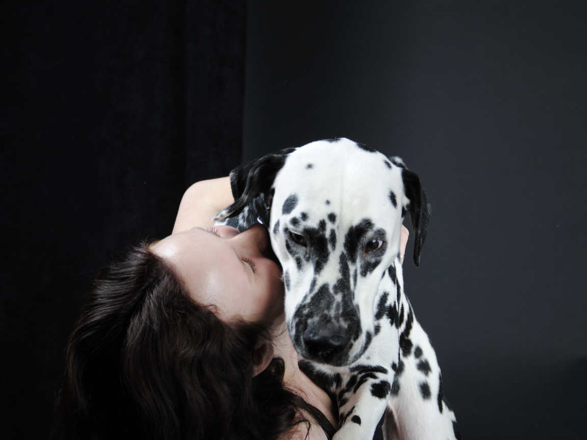 Далматин с его владельцем