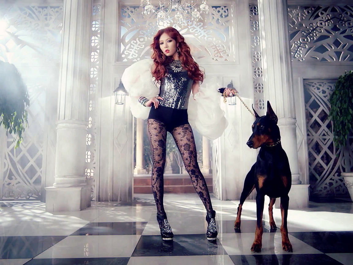 Поп-звезда и доберман