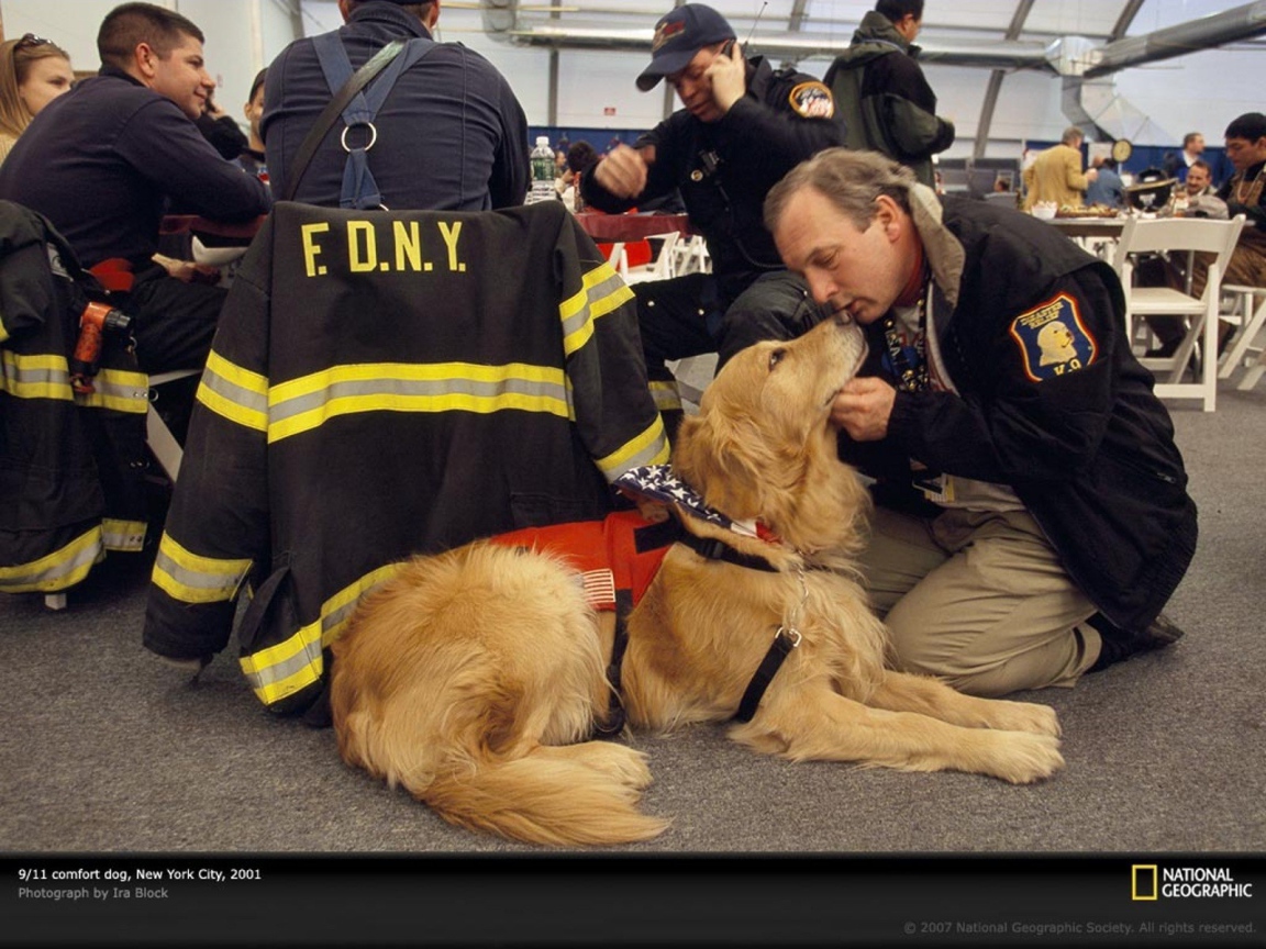 Человек благодарит собаку за помощь