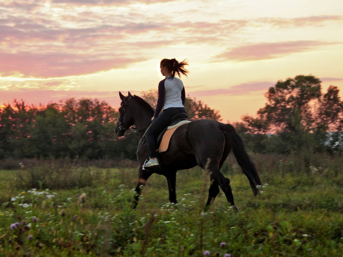 Прогулка на лошадях, закат