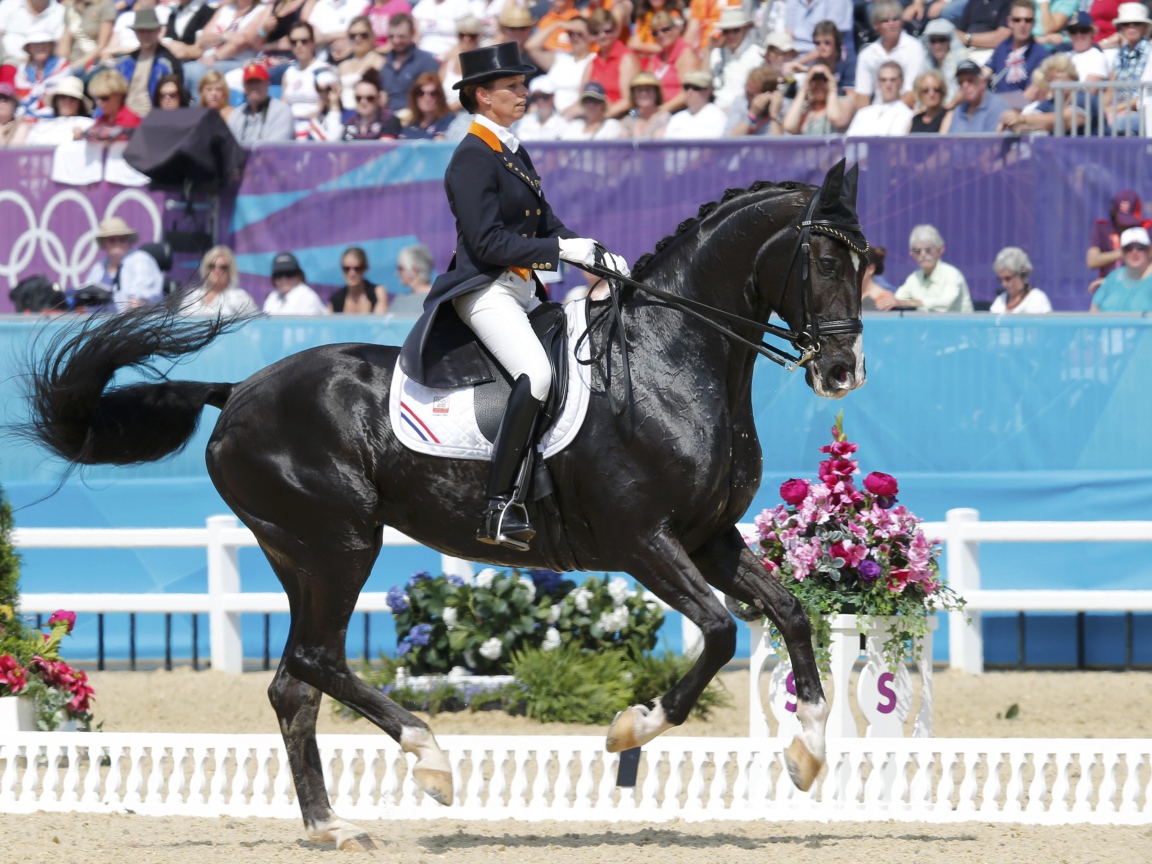 Всадник на лошади