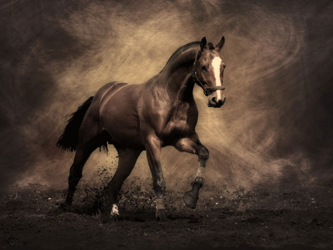 Самые знаменитые лошади