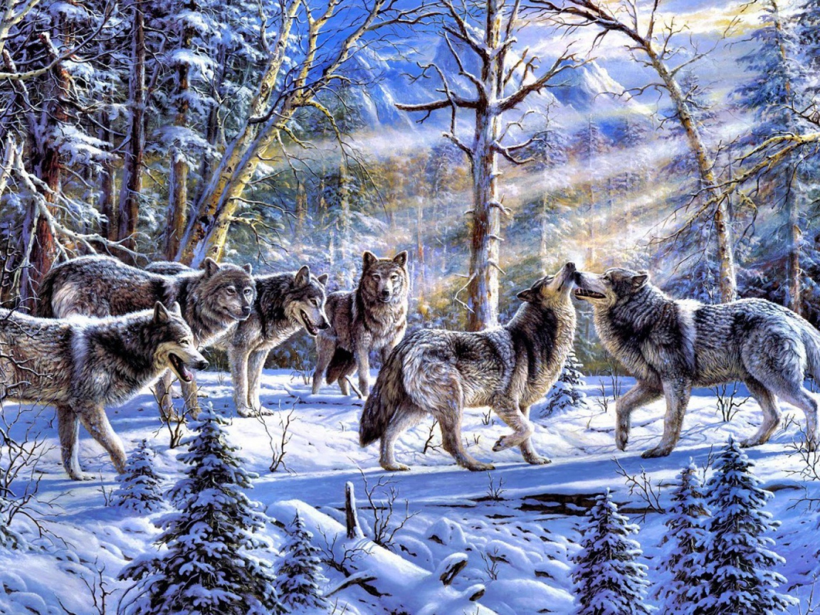 Стая волков на снегу