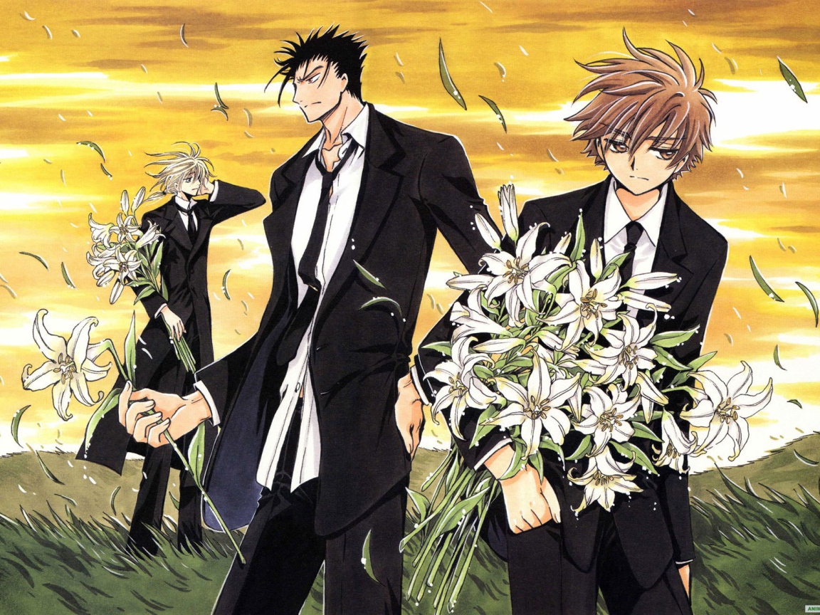 Хроника Крыльев