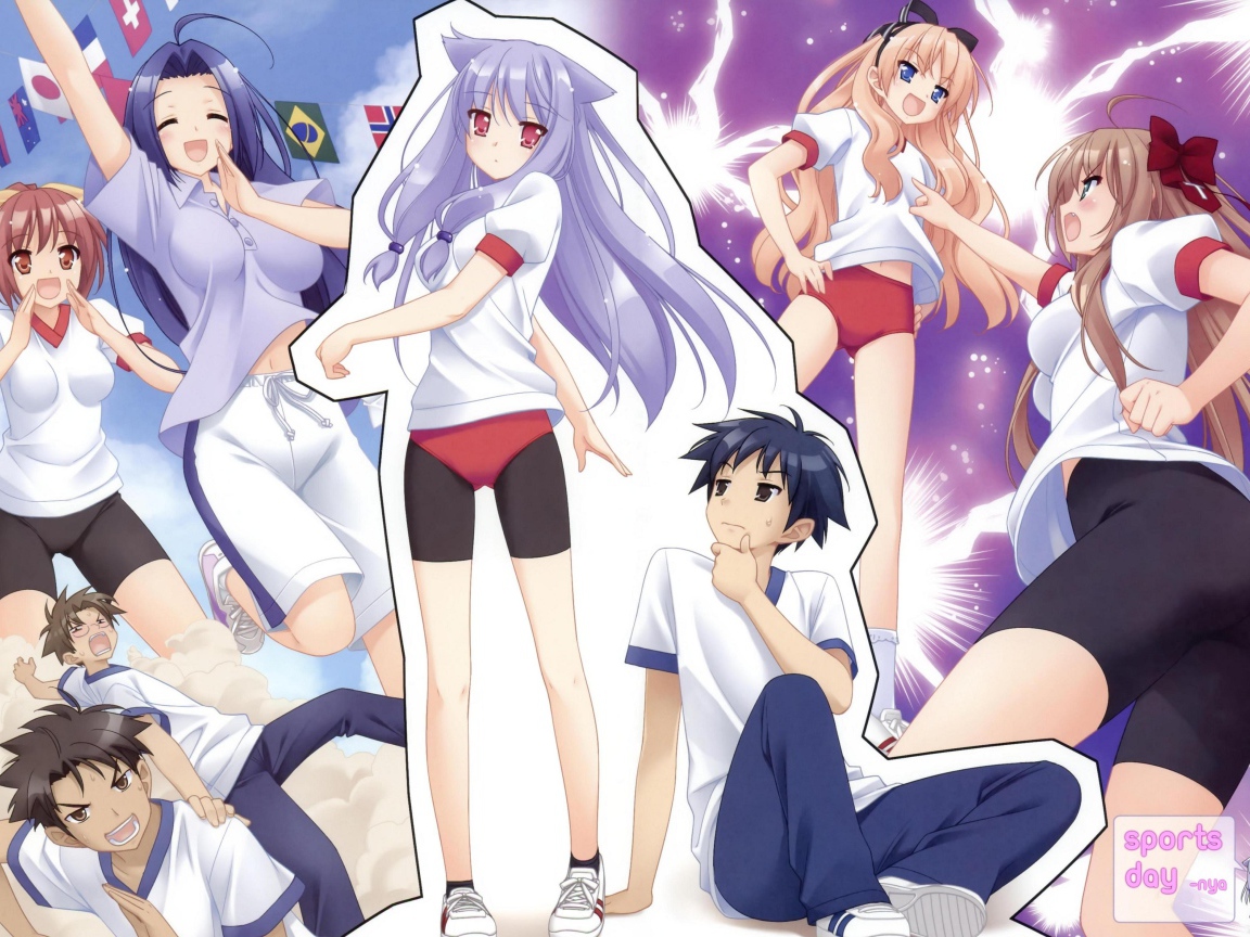 Нашествие бродячих кошек!