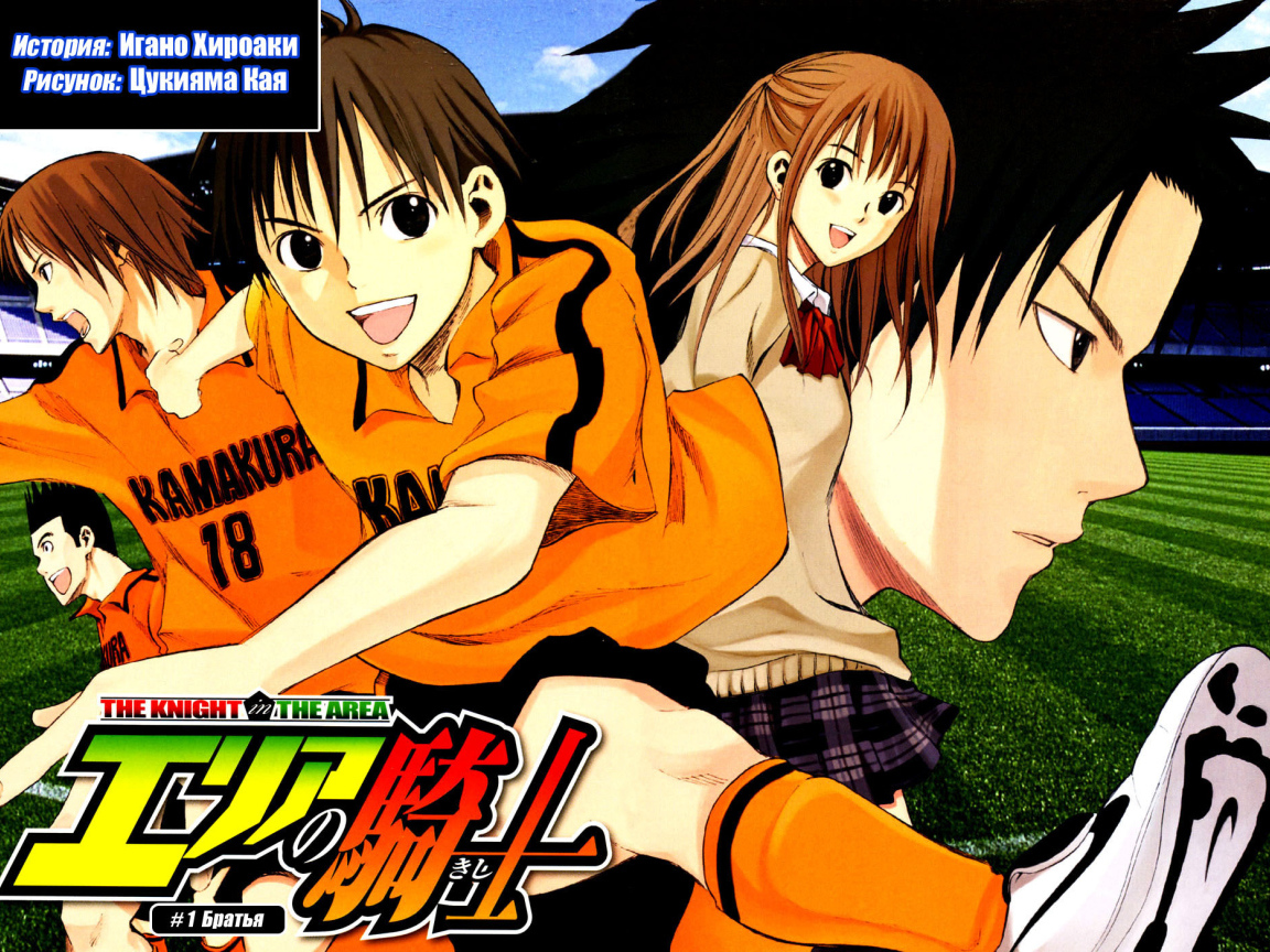 Паладин на поле