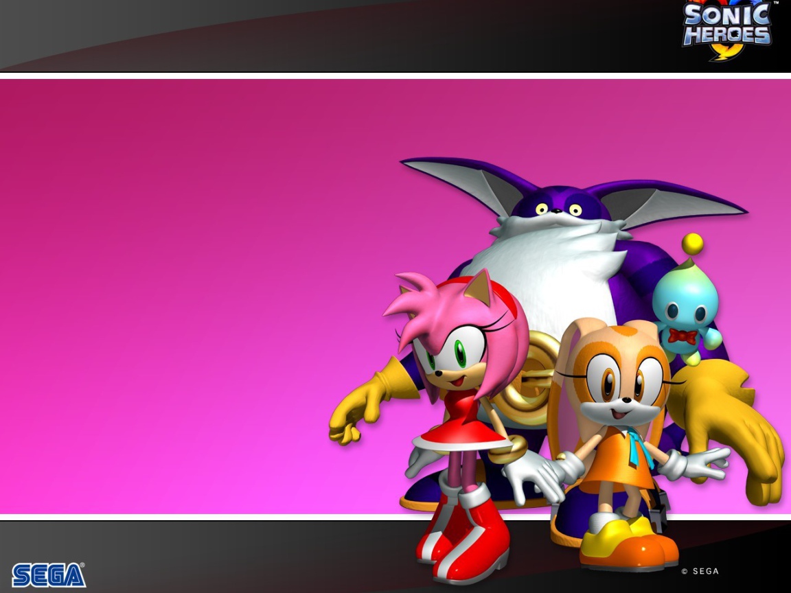 Герои Соник